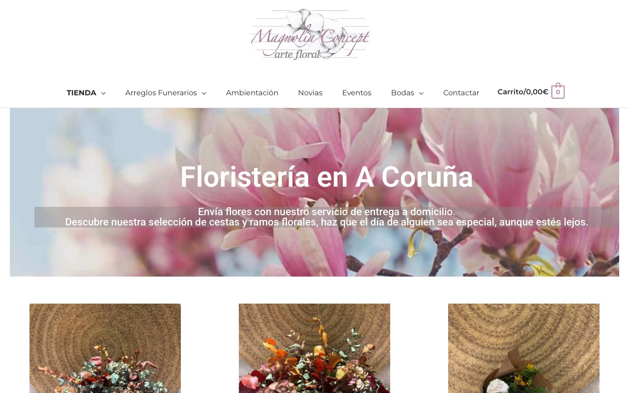 Portada de la web de Magnolia Concept
