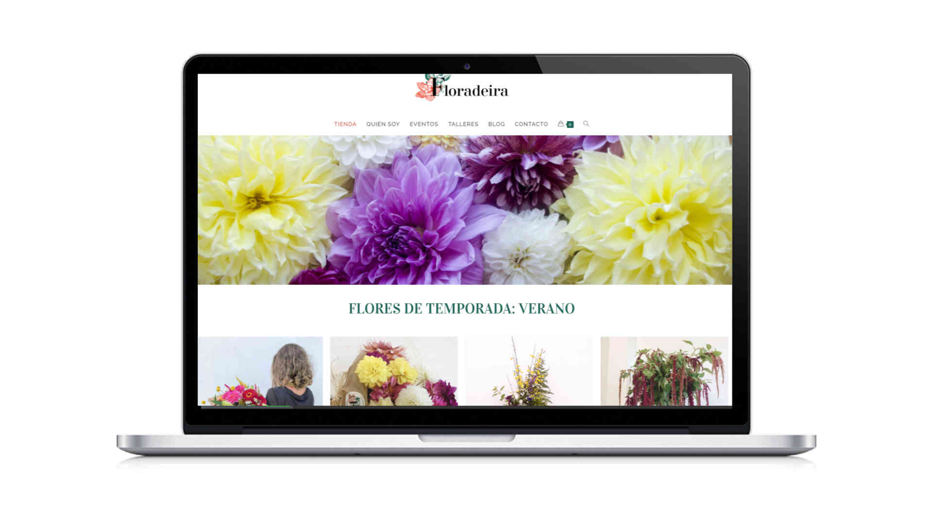Diseño-web